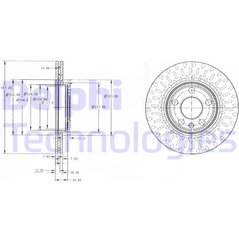 DELPHI BG3222: Piduriketas Ø: 257mm, õhutusega, Ø: 257mm, õlitatud