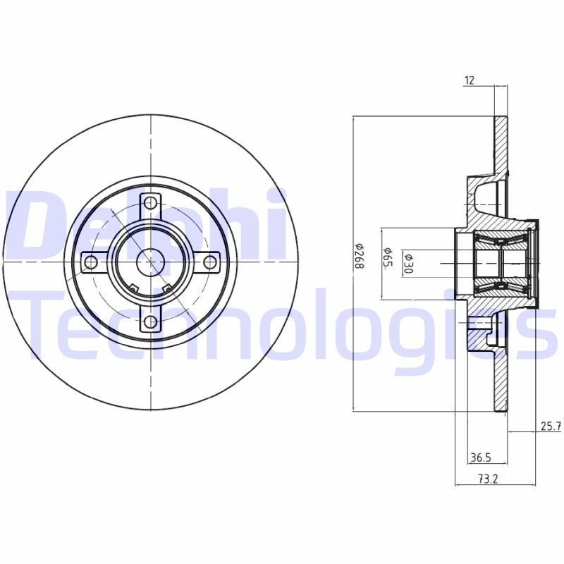 DELPHI BG9053RS: Piduriketas Ø: 268mm, täis, Ø: 268mm, õlitatud