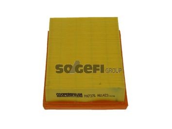 COOPERSFIAAM FILTERS PA7376: Gaisa filtrs