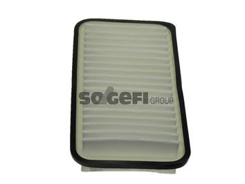 COOPERSFIAAM FILTERS PA7438: Gaisa filtrs