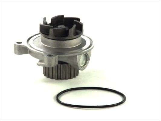 THERMOTEC D1A027TT: Vandpumpe Zähnez.: 20, med pakning