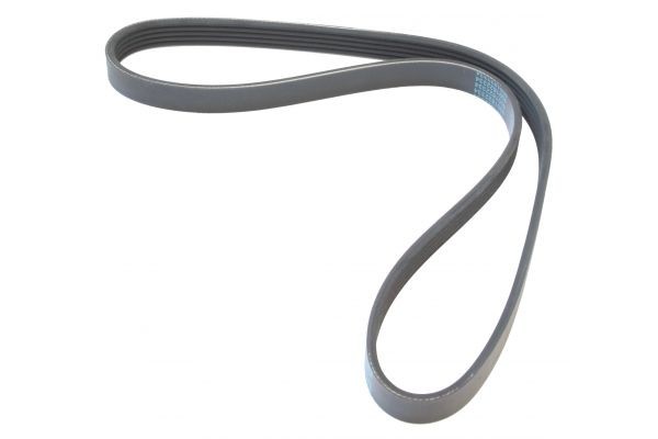 MAPCO 250975: Curea transmisie cu caneluri 975mm, Numar nervuri: 5