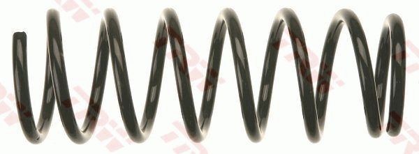 TRW JCS1044: Chassisveer Achteras