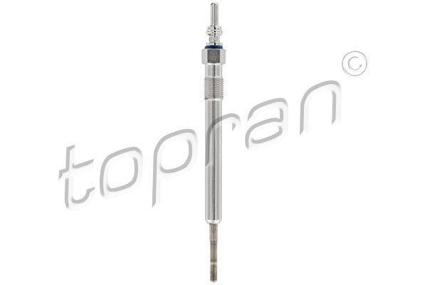TOPRAN 113 839: Kvēlsvece