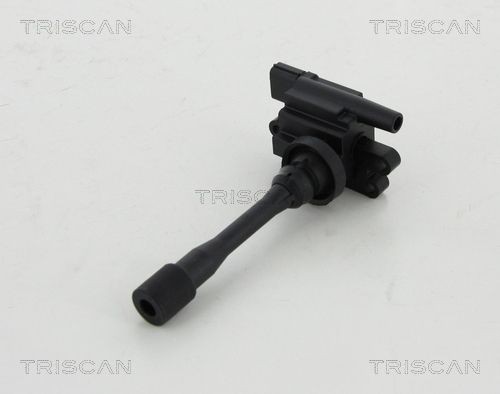 TRISCAN 8860 42011: Süütepool