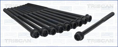 TRISCAN 98-1009: Kit bulloni testata 224mm, M12