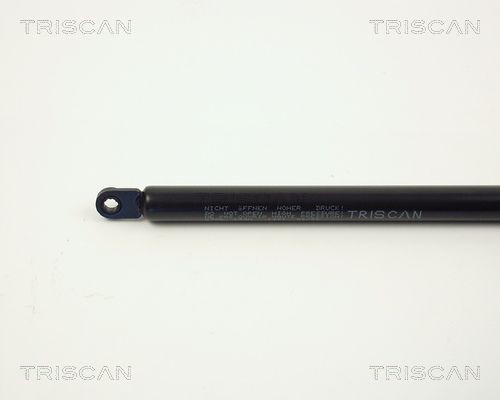 TRISCAN 8120 10116: Δισκόπλακα Ø: 238mm, πλήρες, Ø: 238mm