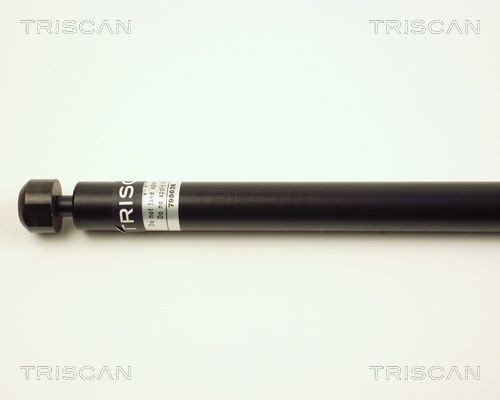 TRISCAN 8120 10117: Bremseskive Ø: 283mm, ventileret, Ø: 283mm