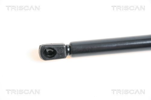 TRISCAN 8120 11128: Piduriketas COATED Ø: 324mm, täis, Ø: 324mm