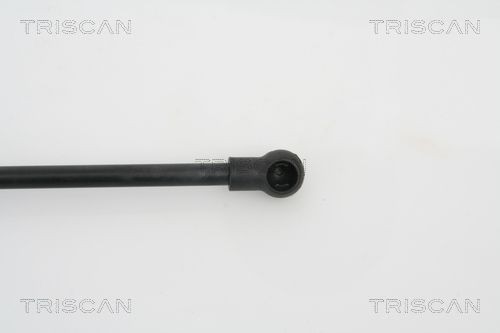 TRISCAN 8120 14120: Piduriketas Ø: 214mm, sisemine õhutus, Ø: 214mm