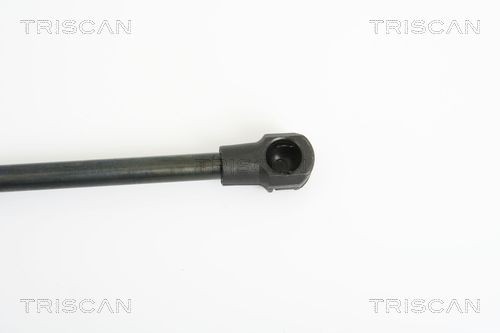 TRISCAN 8120 14137: Piduriketas Ø: 234mm, täis, Ø: 234mm