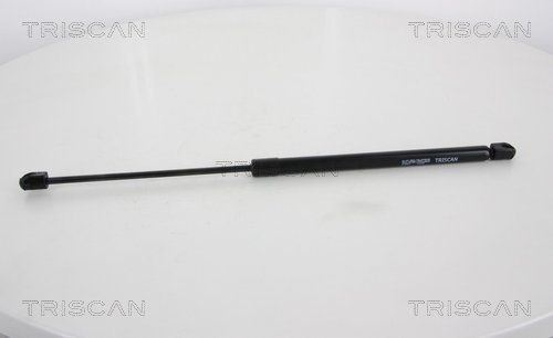 TRISCAN 8120 16111: Piduriketas Ø: 221mm, täis, Ø: 221mm