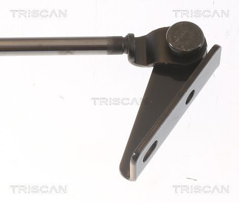 TRISCAN 8120 18105: Bromsskiva Ø: 258mm, ventilerad, Ø: 258mm