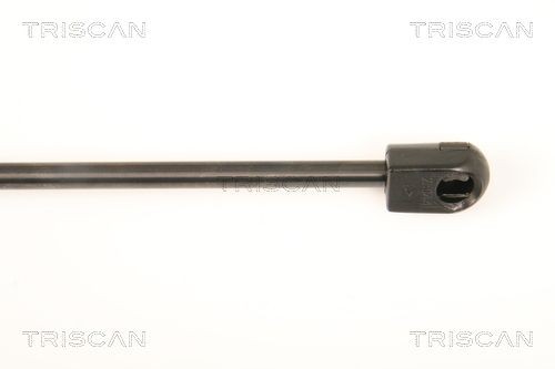 TRISCAN 8120 21102: Bremseskive Ø: 256mm, ventileret, Ø: 256mm