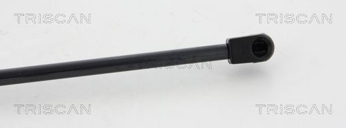 TRISCAN 8120 25101: Piduriketas Ø: 252mm, õhutusega, Ø: 252mm