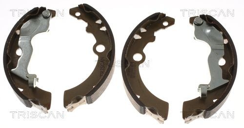 TRISCAN 8120 29113: Piduriketas Ø: 245mm, täis, Ø: 245mm