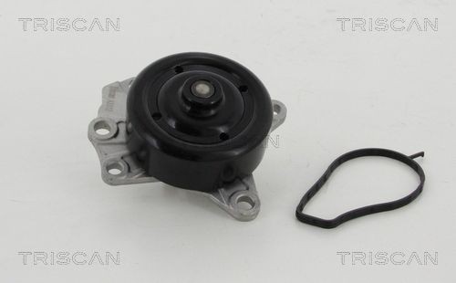 TRISCAN 8600 10022: Pompe à eau