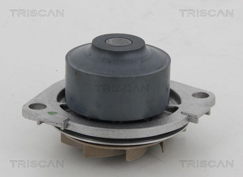TRISCAN 8600 15013: Pompe à eau