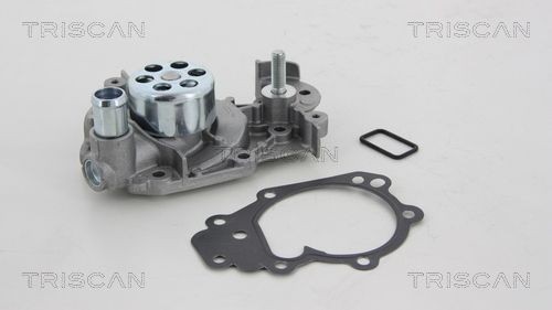 TRISCAN 8600 25019: Pompe à eau