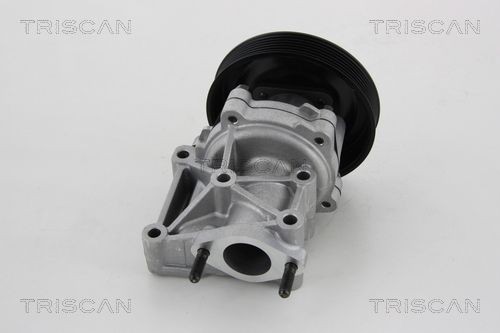 TRISCAN 8600 80013: Bomba de água