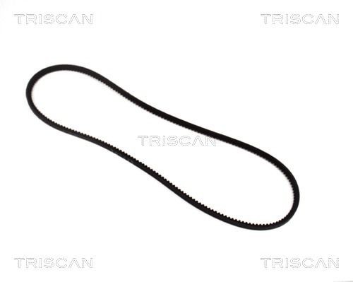 TRISCAN 8640 100925: V formos diržas 925mm