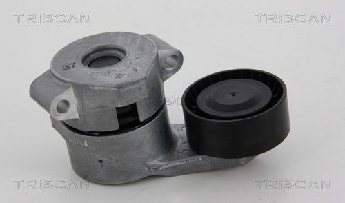 TRISCAN 8641 163017: Galet tendeur de courroie d'accessoire