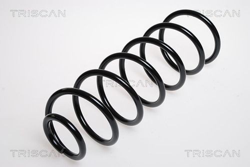 TRISCAN 8750 24101 Fahrwerksfeder Hinterachse