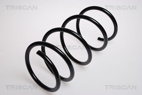 TRISCAN 8750 2537: Chassisveer Vooras