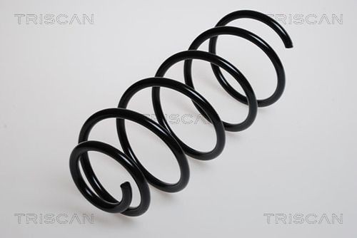 TRISCAN 8750 29024: Chassisveer Vooras