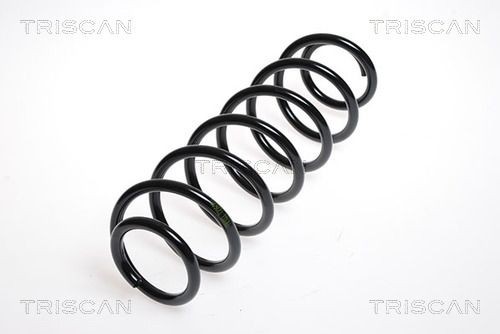 TRISCAN 8750 29139: Chassisveer Achteras