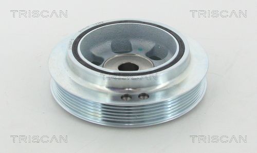 TRISCAN 8755 24021: Σετ καροσσερί, ελατήρια