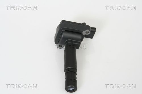 TRISCAN 8860 23004: Süütepool