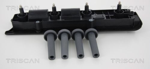 TRISCAN 8860 24015: Süütepool