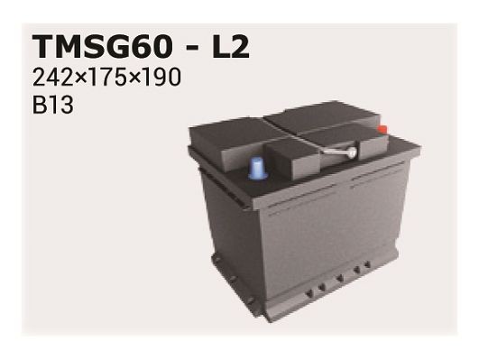 IPSA TMSG60: Starterbatteri
