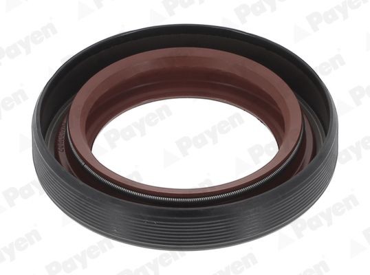 PAYEN NA5205: Keerring, differentieel
