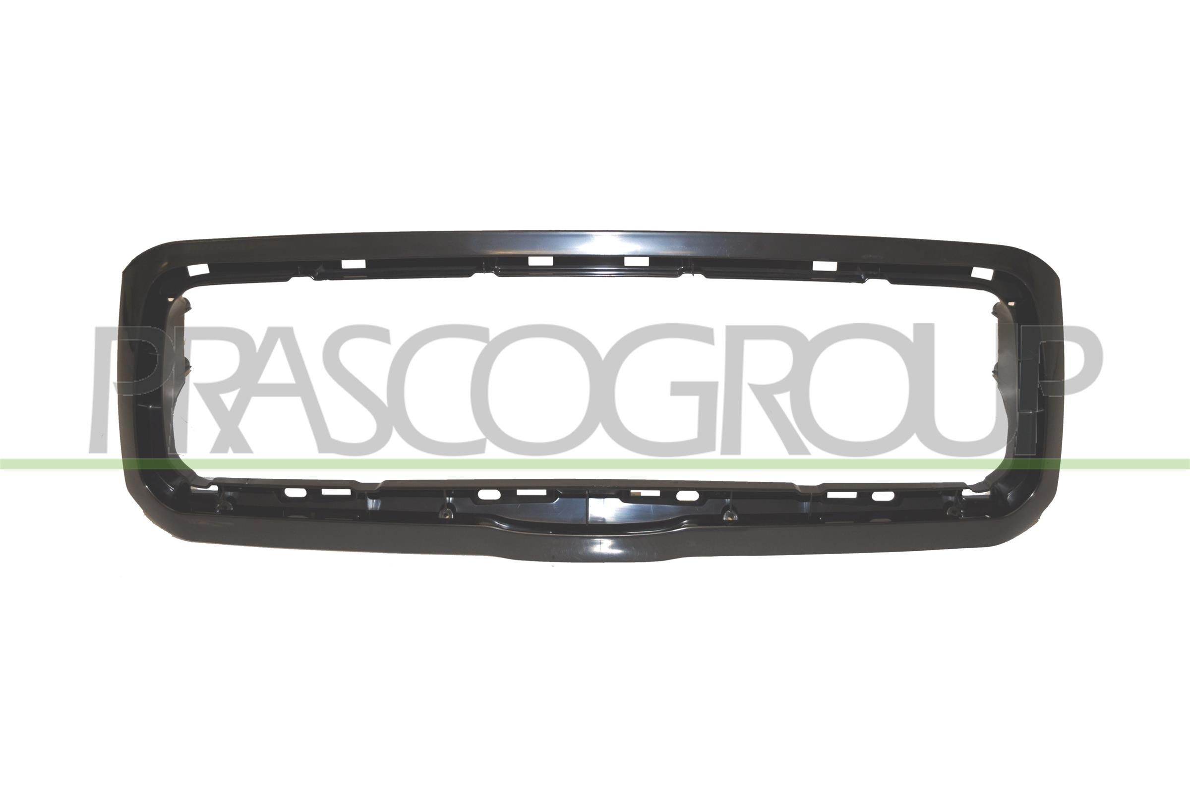 PRASCO SB0034103: Lente, Indicatore direzione