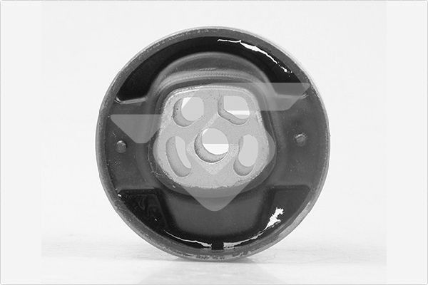HUTCHINSON 594381: Holder, motorophæng
