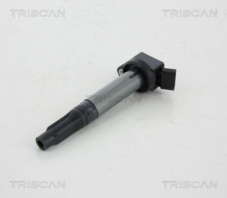 TRISCAN 8860 13027: Süütepool