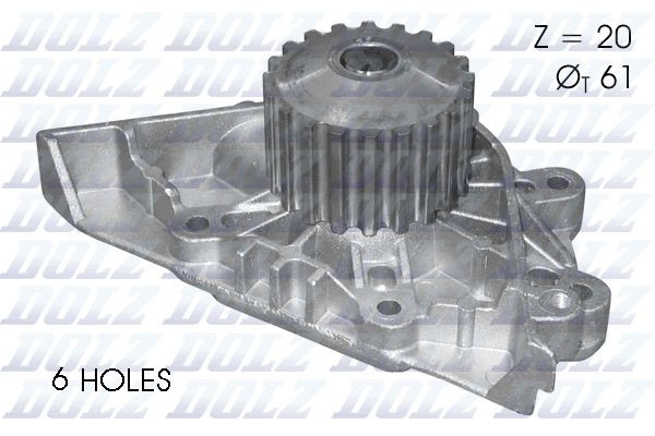 DOLZ C124: Pompe à eau Nbr. dents: 20