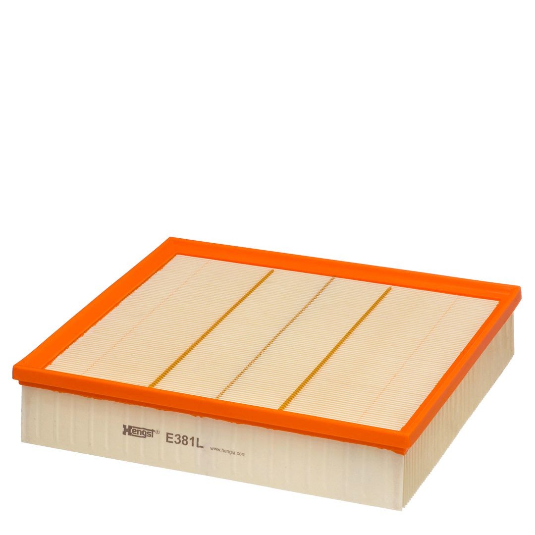 HENGST FILTER E381L: Gaisa filtrs