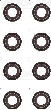 REINZ 12-37794-02: Set garnituri, ax supape