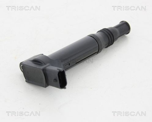 TRISCAN 8860 28024: Süütepool