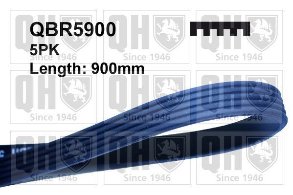 QUINTON HAZELL QBR5900: V formos rumbuoti diržai 900mm, briaunų skaičius: 5