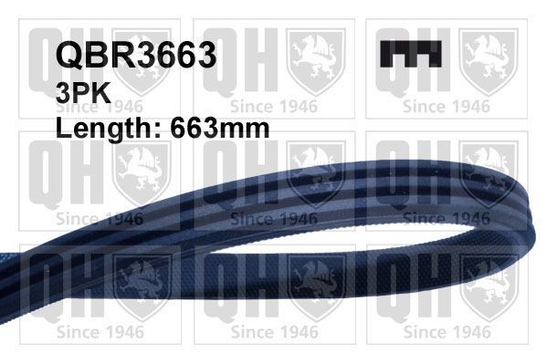 QUINTON HAZELL QBR3663: Curea transmisie cu caneluri 663mm, Numar nervuri: 3