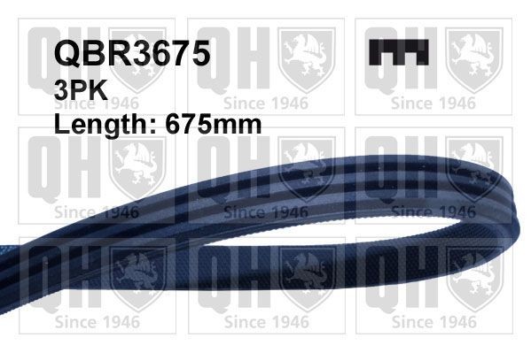 QUINTON HAZELL QBR3675: Curea transmisie cu caneluri 675mm, Numar nervuri: 3