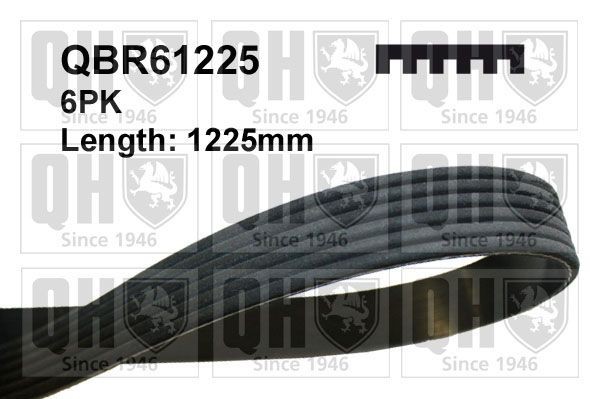 QUINTON HAZELL QBR61225: Curea transmisie cu caneluri 1225mm, Numar nervuri: 6