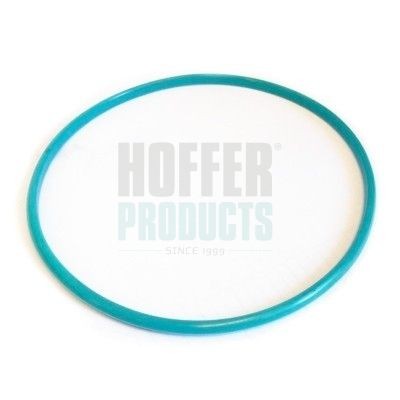 HOFFER 750GSK01: Pakning, tankmåler