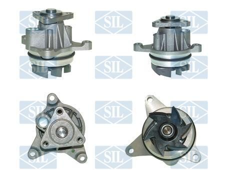 Saleri SIL PA1138: Pompe à eau