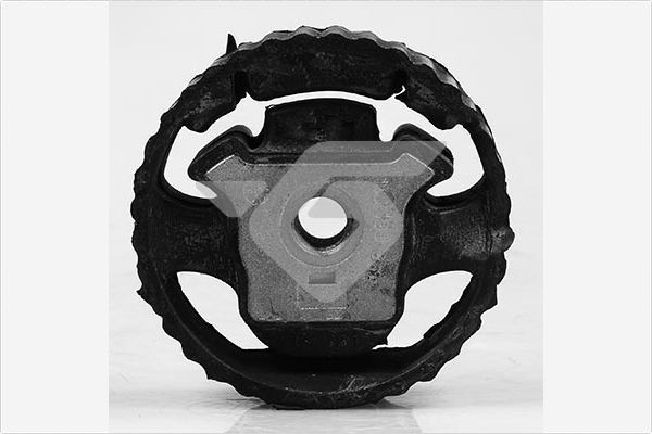 HUTCHINSON 594392: Holder, motorophæng
