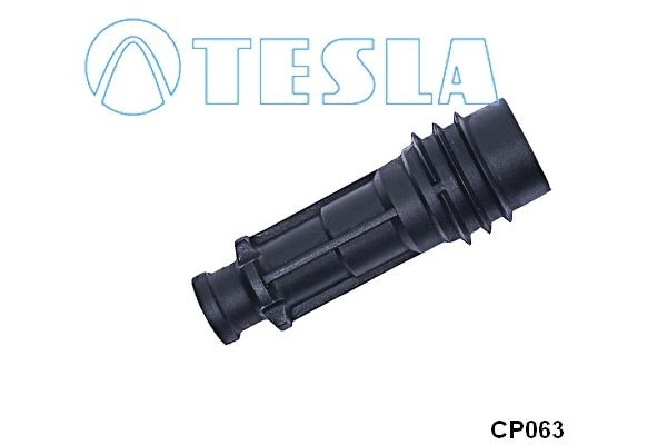 TESLA CP063: Щекер, запалителна свещ